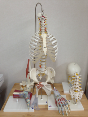 着手金０円、報酬は　保険会社の提示前 → 得た金額の 10％,保険会社の提示後 → 増えた部分の 20％で、費用倒れしない。